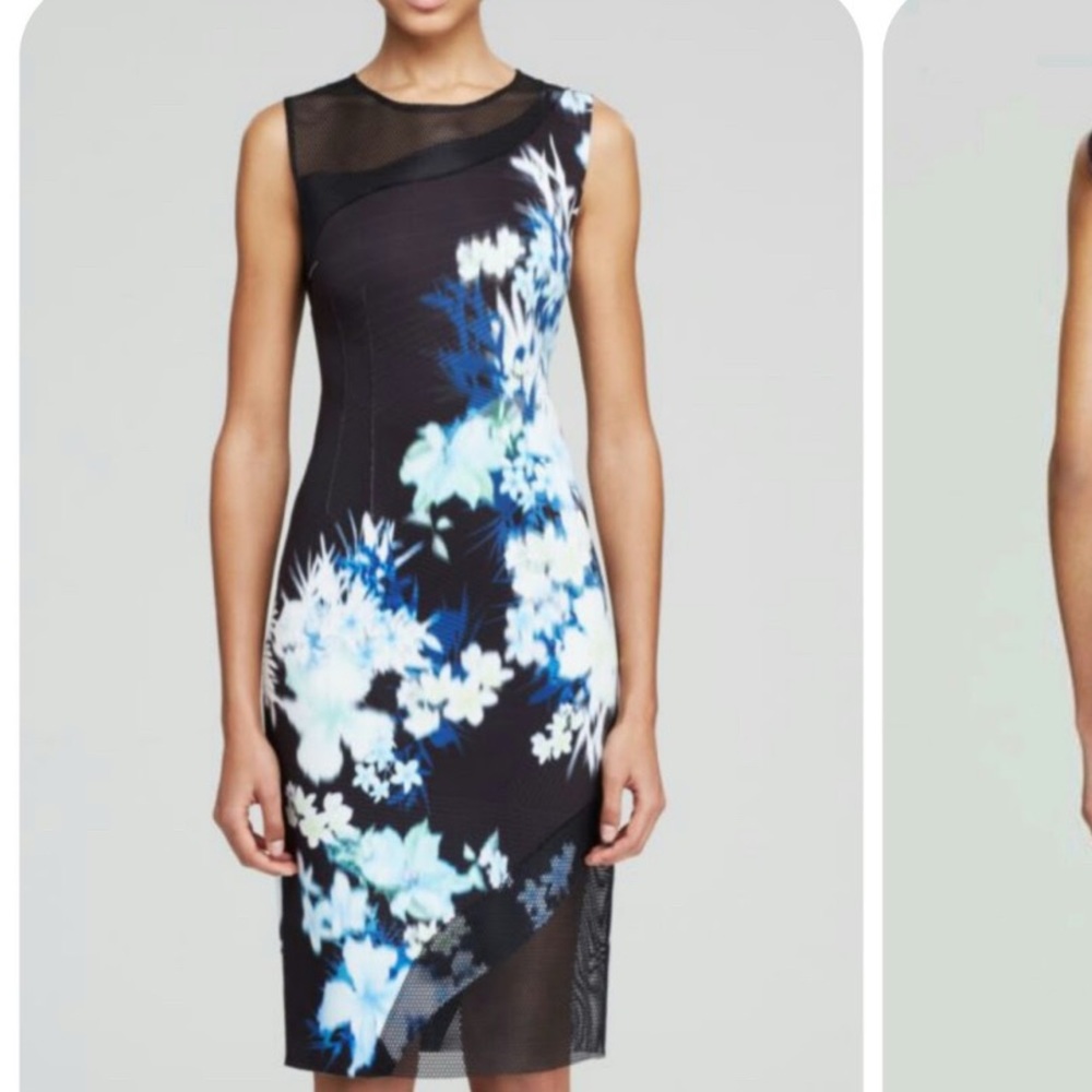 Elie Tahari Floral mesh emory dress nwt size 8